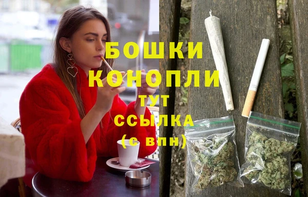 mdpv Ельня
