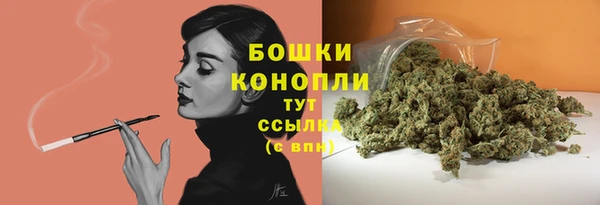 ПСИЛОЦИБИНОВЫЕ ГРИБЫ Елабуга