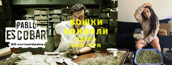 ПСИЛОЦИБИНОВЫЕ ГРИБЫ Елабуга